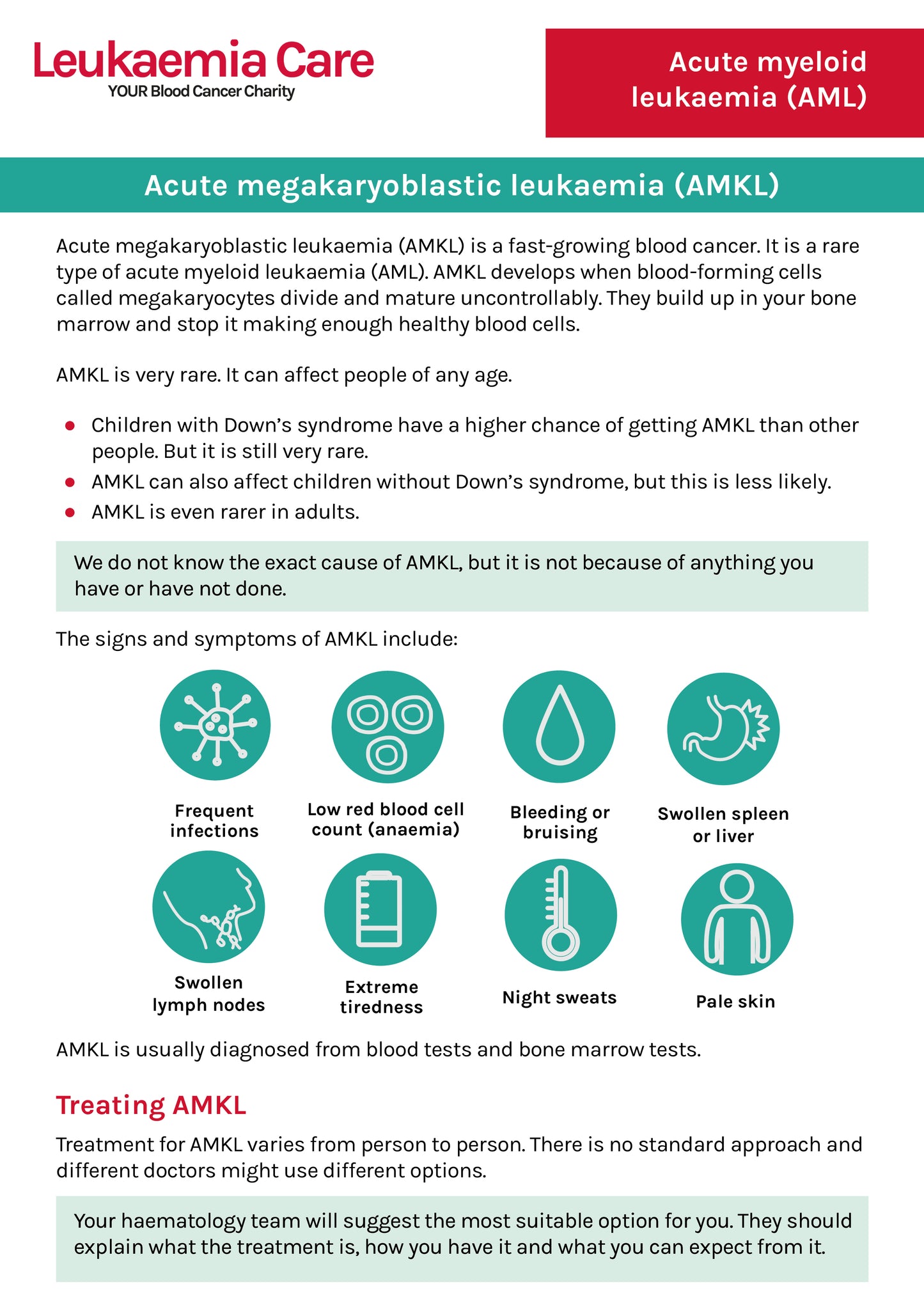 Front cover of a Leukaemia Care factsheet about acute megakaryoblastic leukaemia (AMKL)