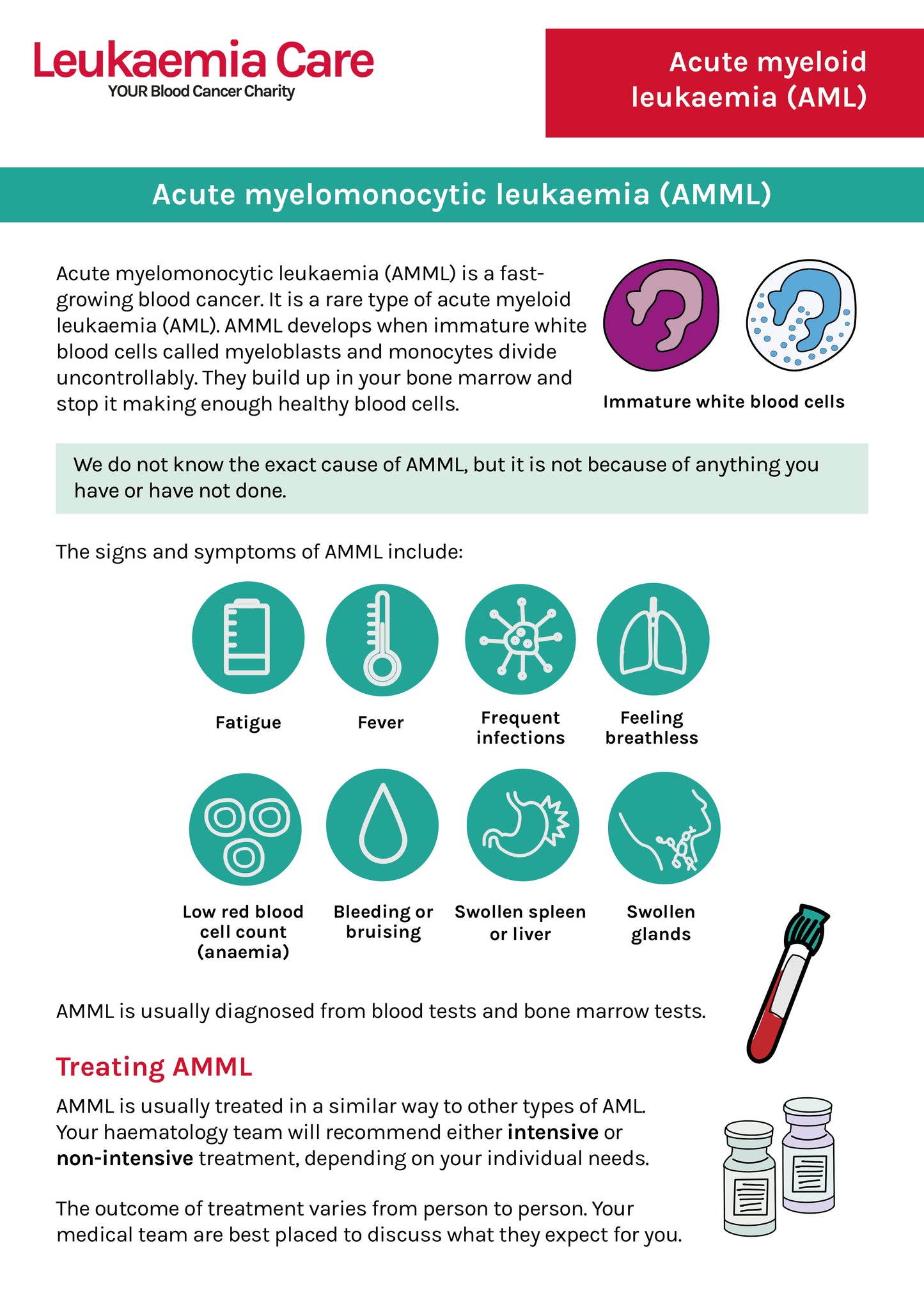 Front cover of a Leukaemia Care factsheet about acute myelomonocytic leukaemia (AMML)